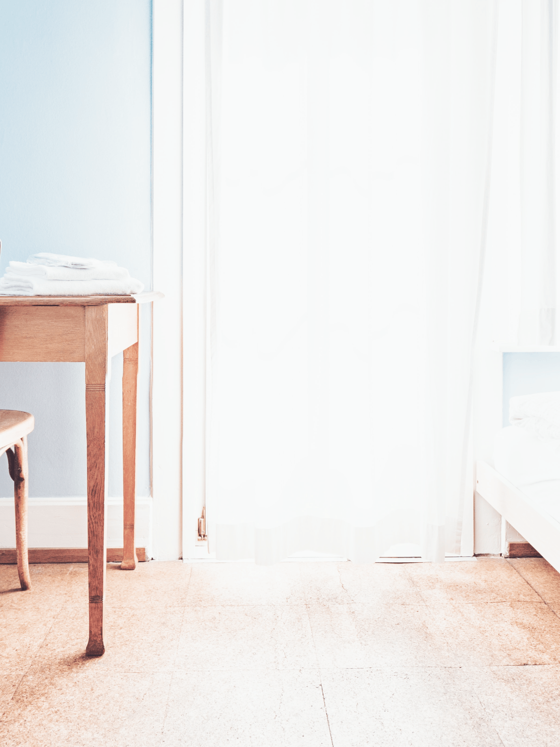 猫様のいる暮らし