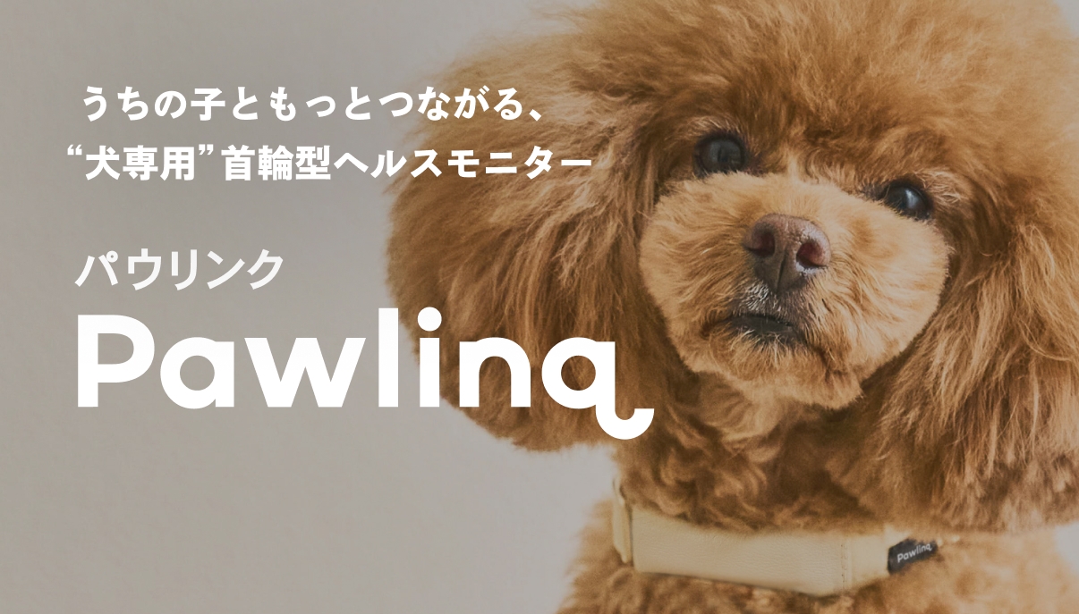 Pawlinq TOPバナー
