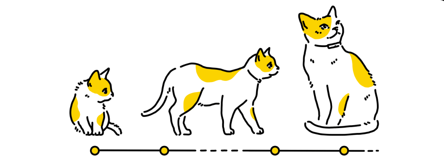 子猫から大人になるまでの成長