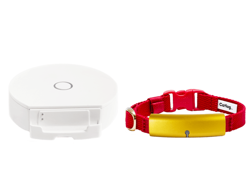 Catlog 基本セット