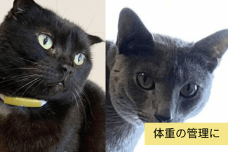 Elimination Monitoring