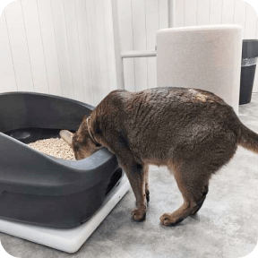 システムトイレ