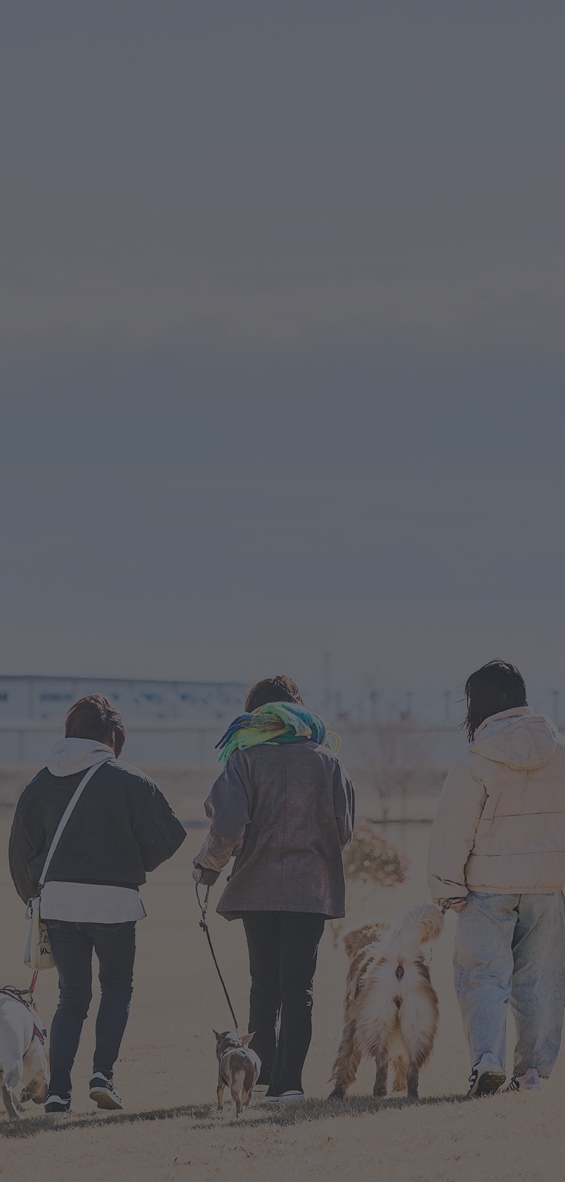 家族と犬の散歩